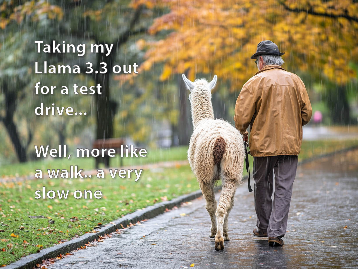 how to install and run llama3.3 LLM on your home computer